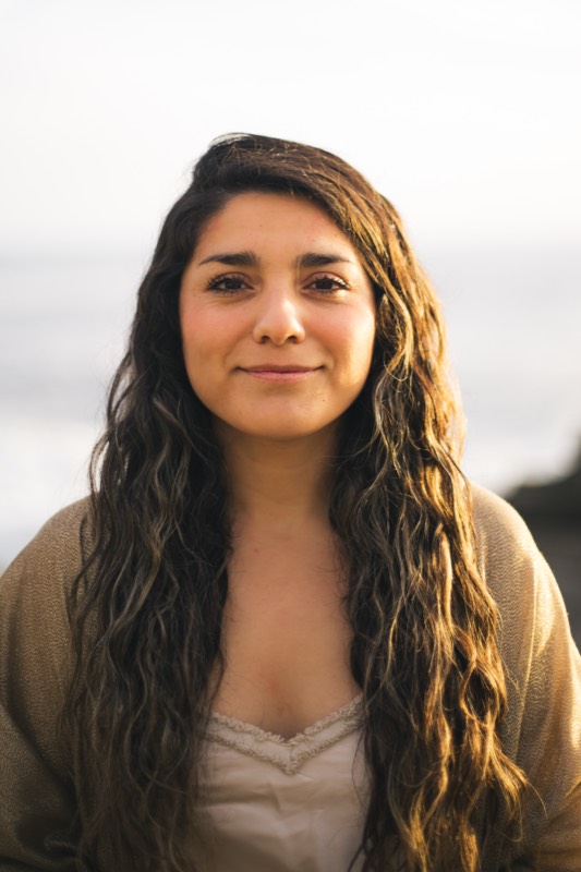 Lis — Resonadores de Luz